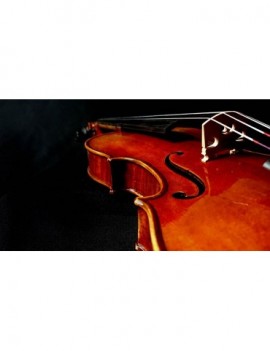 RUDOLPH Violino 1/2, montature ebano