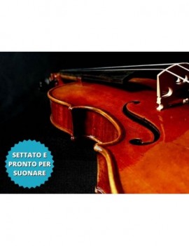 RUDOLPH Violino 3/4, montature ebano. Settato e pronto per suonare. Ponte ottimizzato e muta di corde Tonica Pirastro.