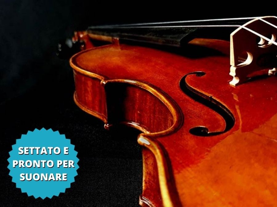 RUDOLPH Violino 3/4, montature ebano. Settato e pronto per suonare. Ponte ottimizzato e muta di corde Tonica Pirastro.