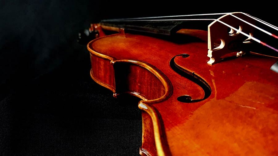 RUDOLPH Violino 4/4, montature ebano