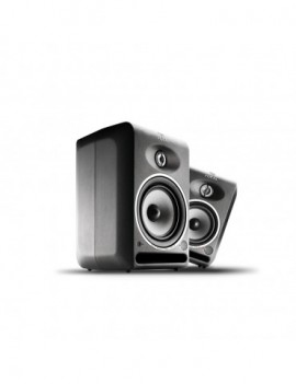 FOCAL CMS 50 ANALOG AND ATIVE SPEAKER