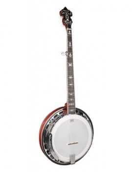 RICHWOOD Richwood RMB-905-A Banjo folk 5 corde closed back, con pelle rialzata RMB-905-A