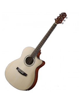 Crafter HT100CE N