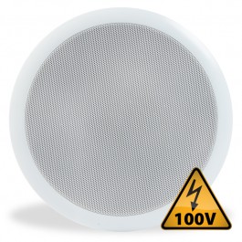 CSPB5 Ceiling Speaker 100V 5