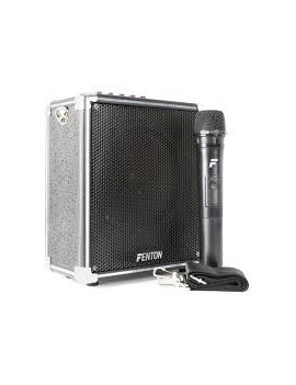 EGO AG0052 ST040 Portable Amplifier 40W