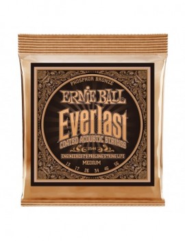 ERNIE BALL 2544 Everlast...