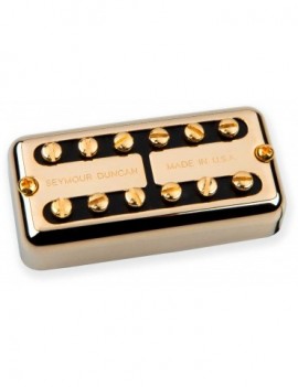 SEYMOUR DUNCAN PSYCLONE VINTAGE NECK GOLD COVER
