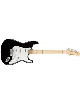 Standard Stratocaster® Maple Fingerboard, Black