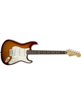 Standard Stratocaster® Plus Top, Rosewood Fingerboard, TobaccoSunburst